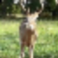 vanburen_listing1__resize-thumb
