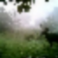 vanburen_listing_12__resize-thumb