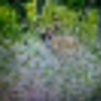 vanburen_listing_13__resize-thumb