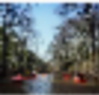 2,053 acres Cane Creek State Park Deer & Turkey Hunting Land in Star City, AR images 5