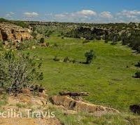 120-acre Junction Butte Wetlands elk & deer hunting land in Kremmling, CO