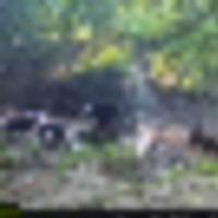 w1000492__resize-thumb