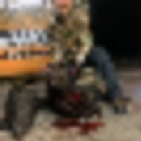 Florida Hog Hunting Membership