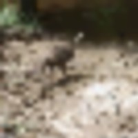 wgi_0045__resize-thumb