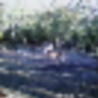 wgi_0064__resize-thumb