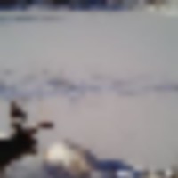 wgi_0966__resize-thumb