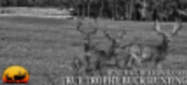 Trophy Whitetail Deer Hunting and Trophy Elk Hunting at Hunt Mill Hollow Ranch featured image