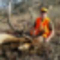 Elk hunt private ranch in southwest Oklahoma images 3