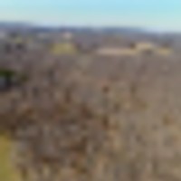 woods__resize-thumb