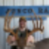 South Texas Finest Hunting Land 200+ Whitetail Deer images 3