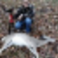 wt_doe_adam__resize-thumb
