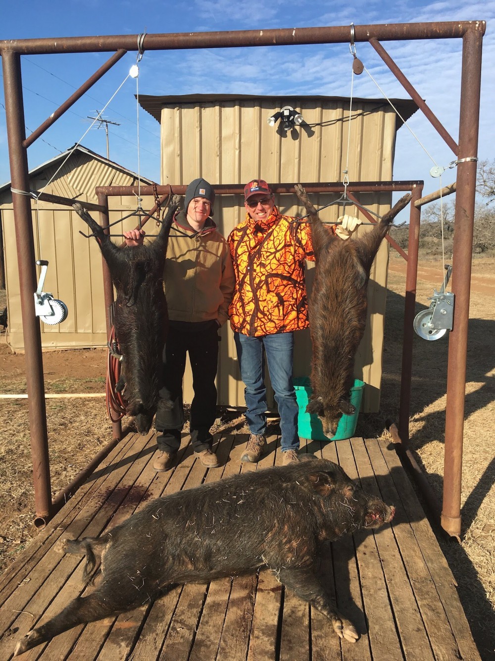 Texas Hill Country Hog Hunting Hunts featured image