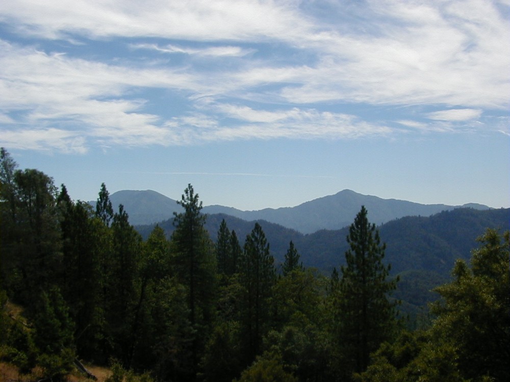 Hunting lease available in northern California featured image