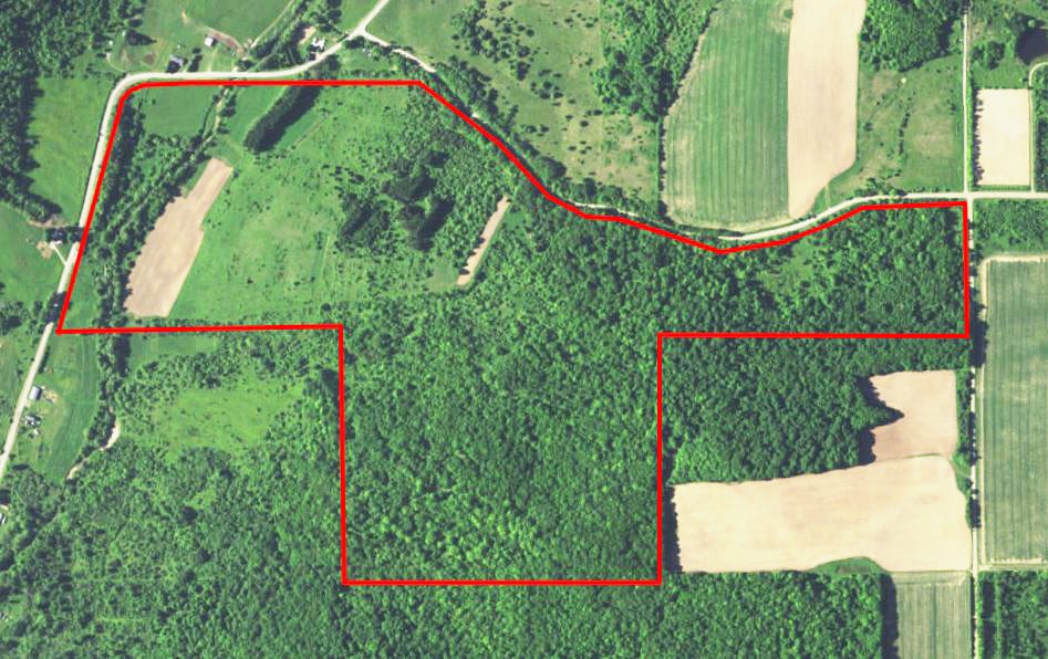 150 acres Hunting Land with Travel Trailer in Andover NY ...