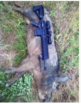 Beautiful Hog hunting land in Alapaha, GA featured image