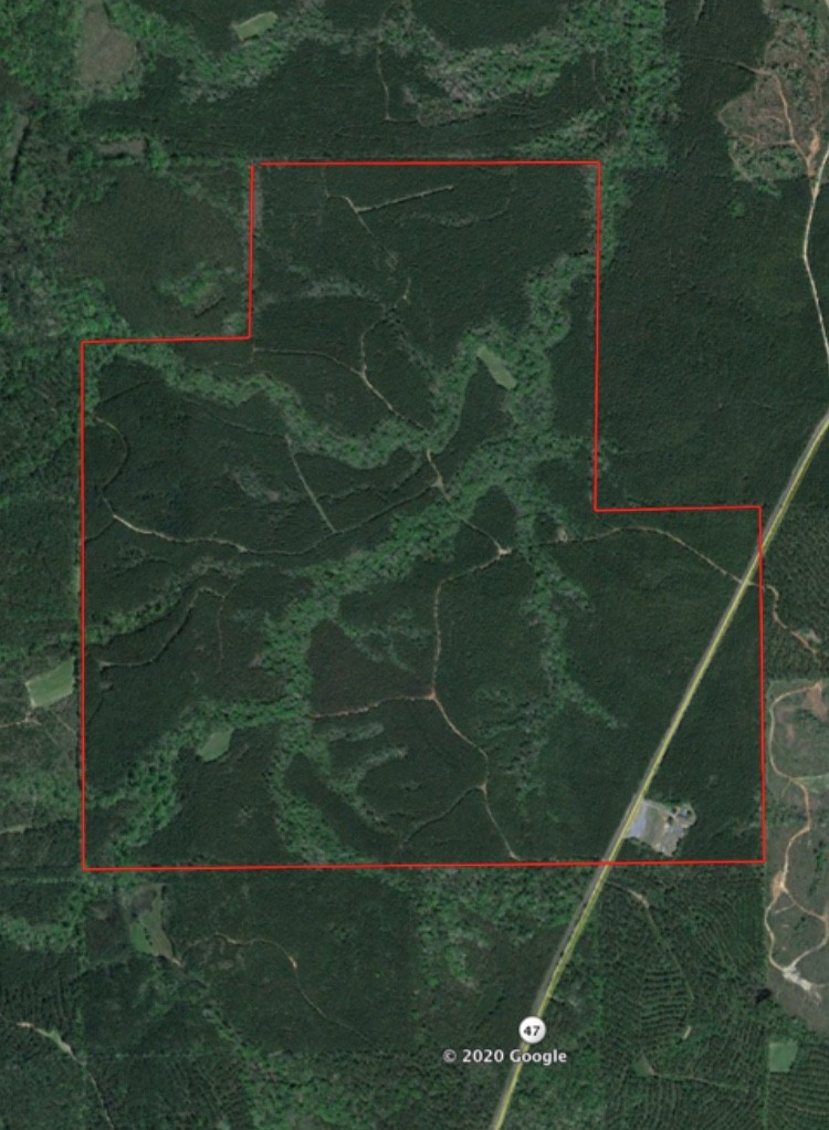 530 acres available for deer rights featured image