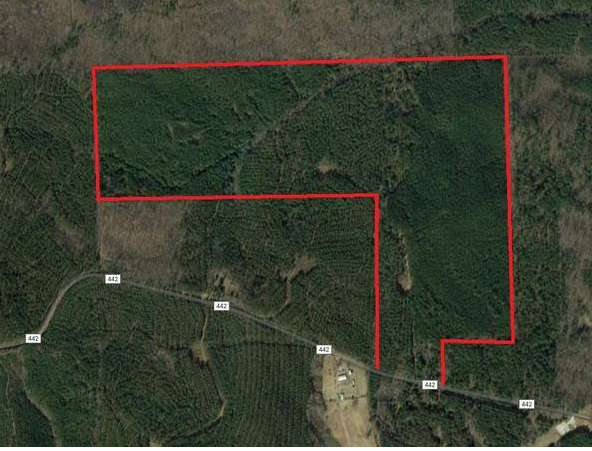165 Acres Prime Deer Hunting Property in Tula, MS featured image