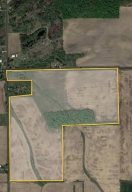 118 acre deer lease in Tuscola County, MI featured image