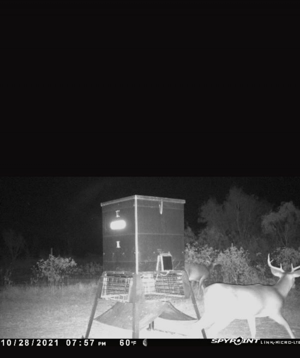 Day and weekend deer hunts. 500 acre ranch with clean and comfortable lodging available on site featured image