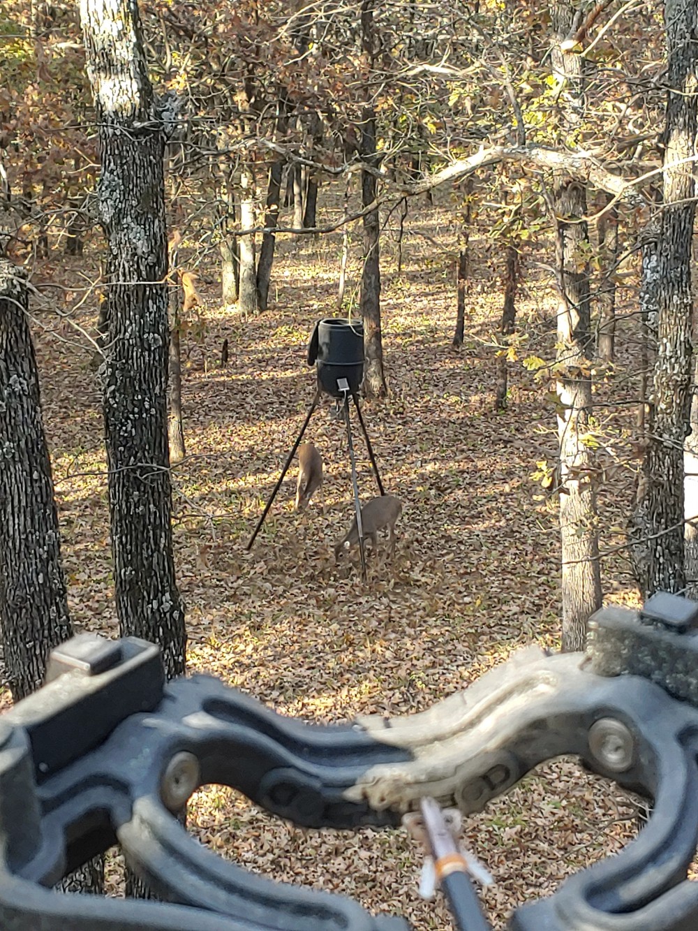 160 acre deer hunting featured image
