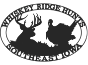 1469029569_clipped_rev_2_1.png