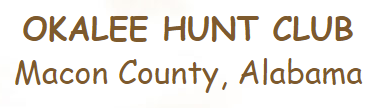 1_66.PNG