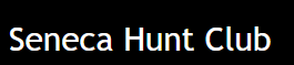 1_81.PNG