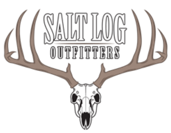 2019-06-24_15_03_46_saltloglogo3-jxar1q7exa36.png