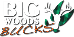 BWB_logo.png