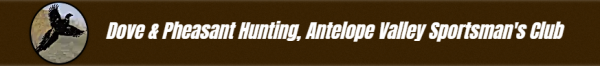 Capture_17.PNG
