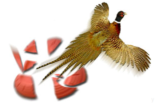 Capture_21.PNG