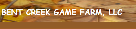 Capture_216.PNG