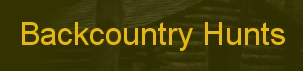 Capture_228.PNG