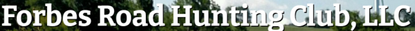 Capture_263.PNG