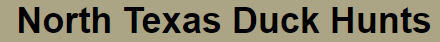 Capture_293.PNG
