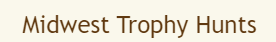 Capture_79.PNG