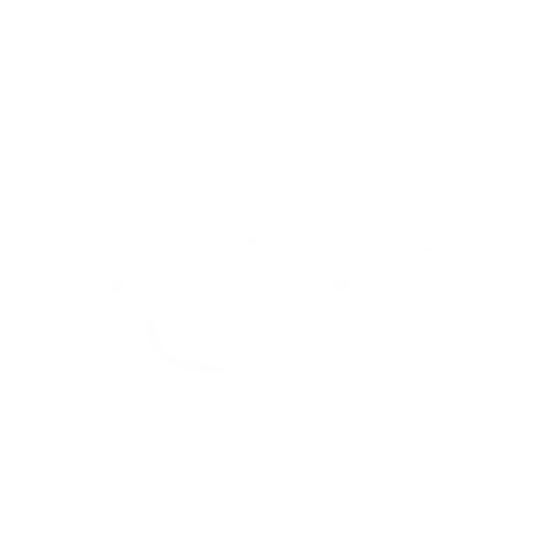 SPORTSMAN-CHARTERS-LOGO-1.webp