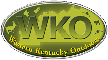 WKO_web_use.gif