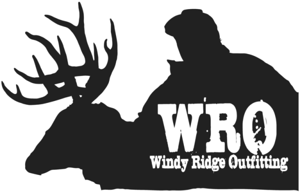 WRO-Logo-Original-01-768x493.png