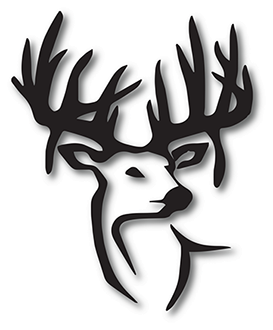artwork_56.png