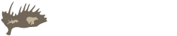 blackwater-logo-brown-text-side-250pxver2.png