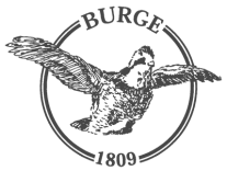burge-logo-e1458140134544.png