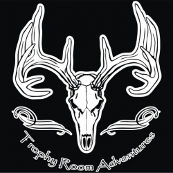 cropped-cropped-LOgo-260-x-260.png