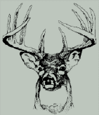 deerhead.gif
