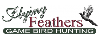 game-bird-hunting-Flying-Feathers-Golden-City-MO.png