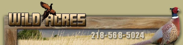 header.jpg