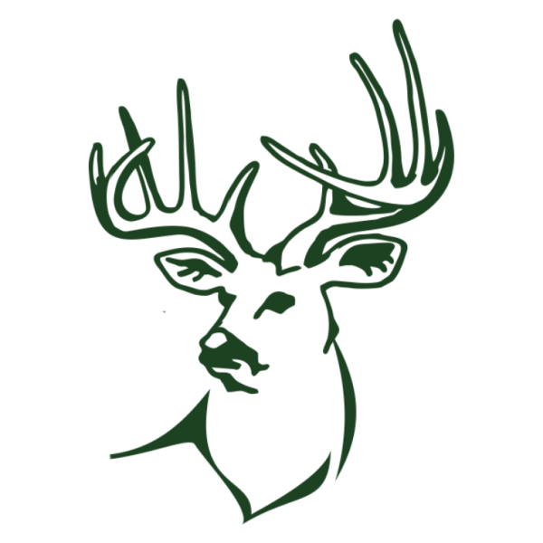 larger_favicon.png