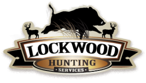 lhs-logo-300x171.png