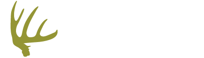 logo-footer.png