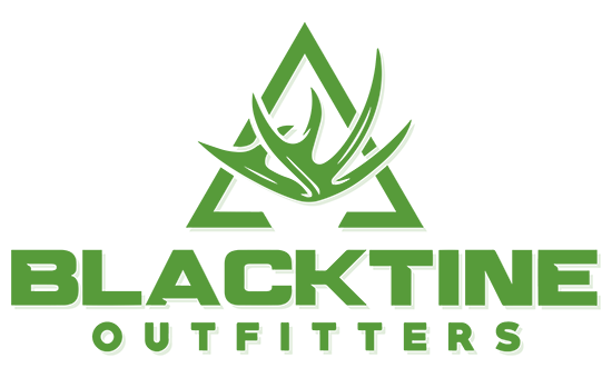 logo-green.png